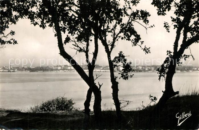 Saint-Georges-de-Didonne Vue de Suzac