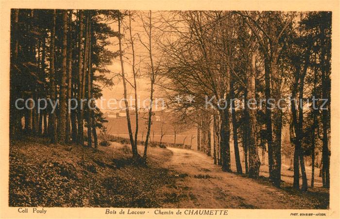 Lacour-d Arcenay Bois de Lacour Chemin de Chaumette
