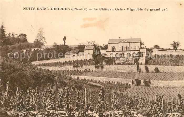 Nuits-Saint-Georges Le Chateau Gris Vignoble de grand cru