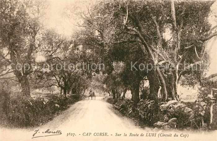Corse Seine-Maritime Sur la Route de Luri Circuit du Cap