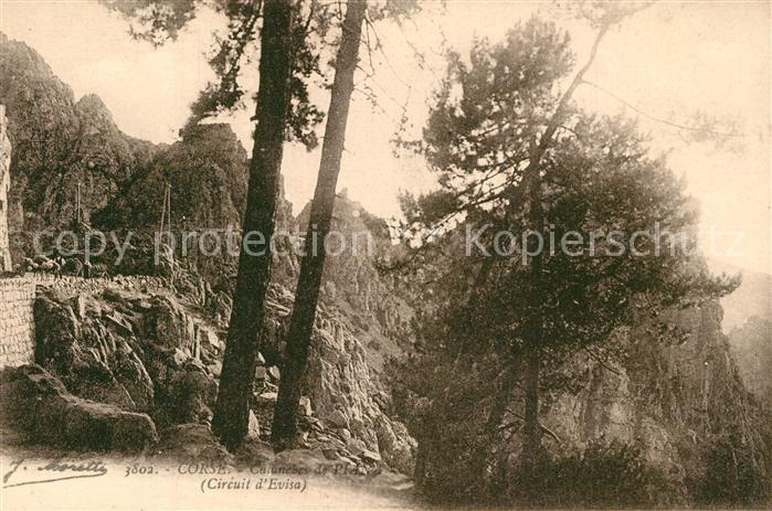 Corse Ile de Calanches de Piana