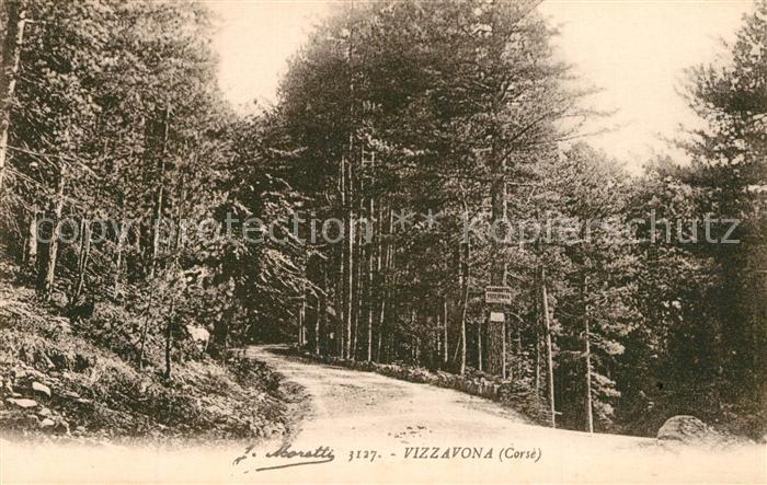 Vizzavona Waldpartie