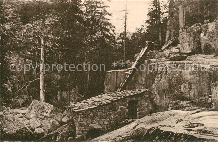 Corse Ile de Moulin de la Foret d Aitone