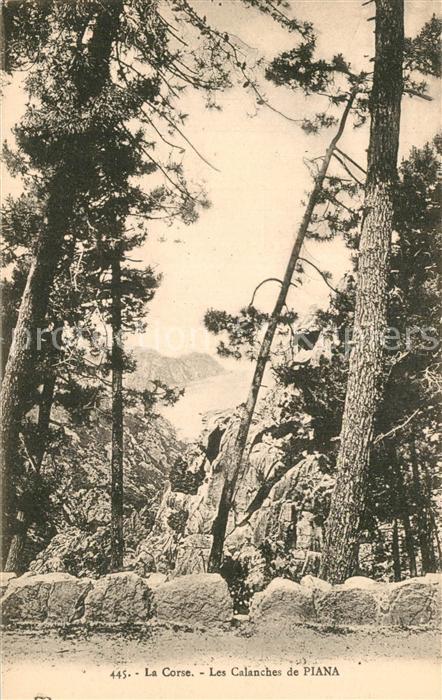 Corse Ile de Les Calanches de Piana