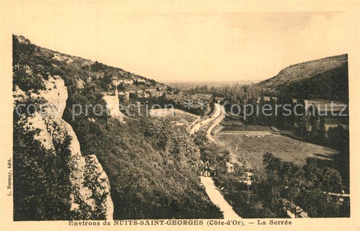 Nuits-Saint-Georges La Serree