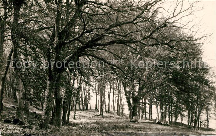 Dieulefit Le Bois de Vache