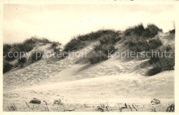 De Panne Le sentier tracé dans la dune
