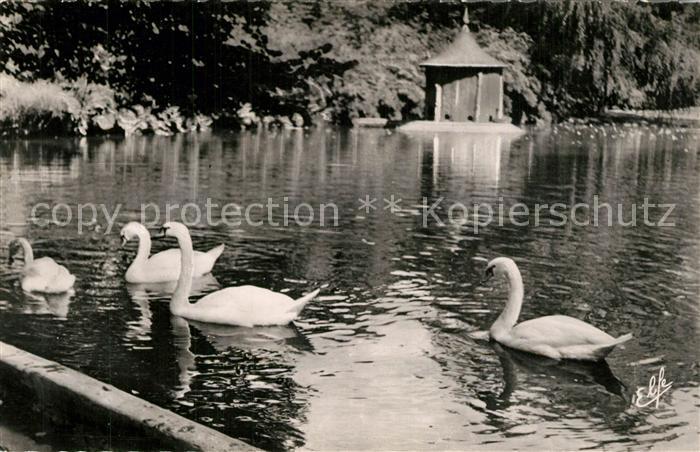 Toulouse Haute-Garonne Les Cygnes du Jardin Royal Schw?ne