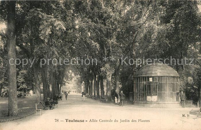 Toulouse Haute-Garonne All?e Centrale du Jardin des Plantes