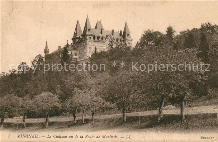 Murinais Chateau vu de la Route de Murinais