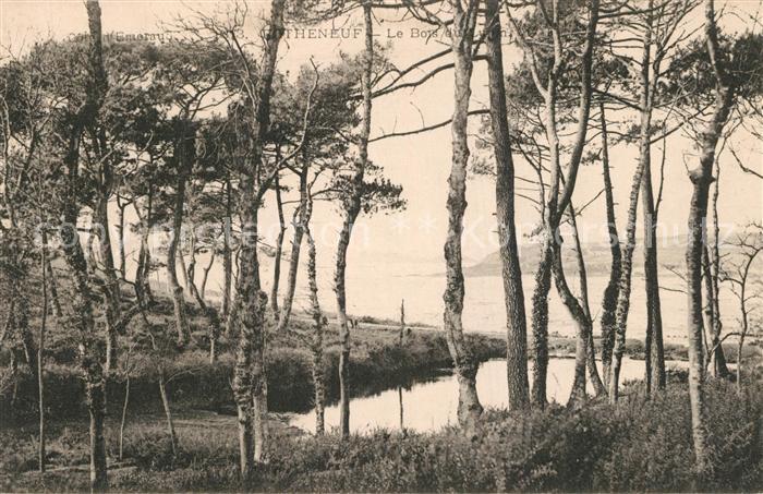 Rotheneuf Wald am Wasser