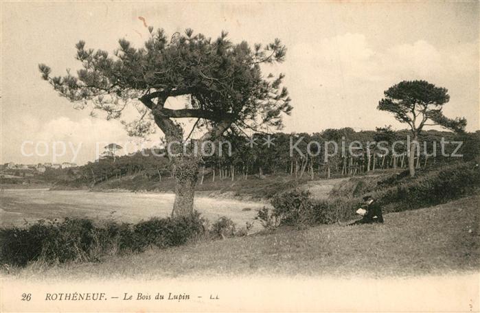 Rotheneuf Le Bois du Lupin