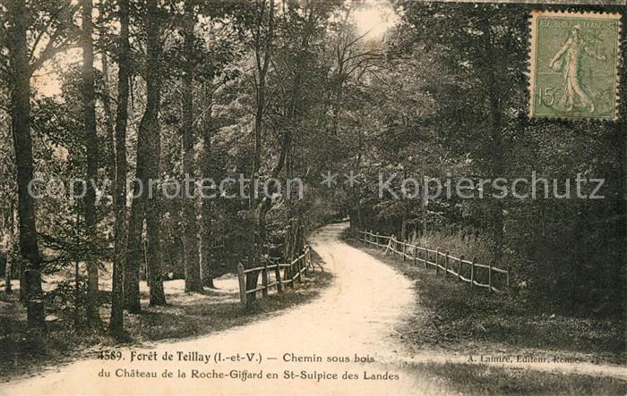 Teillay Foret Chemin sous bois