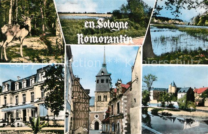 Romorantin-Lanthenay Trois aspects de la Sologne Hotel de vi