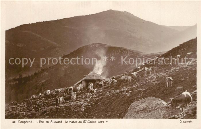 Allevard les Bains Isere Le matin au Grand Collet en été Alpes