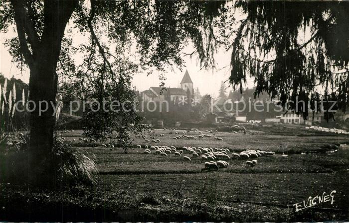 Castets L'Adoue des moutons Eglise
