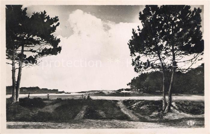 Capbreton à travers les Pins Paysage