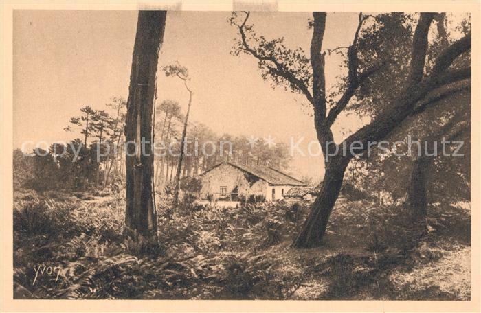 Landes Departement Les Landes de Gascogne une ferme