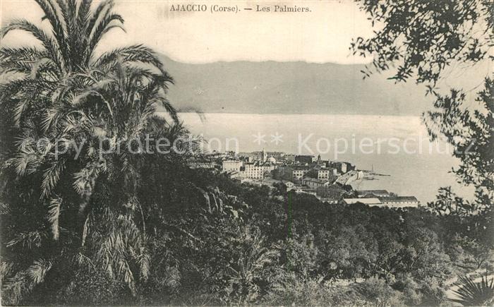 Ajaccio Les Palmiers