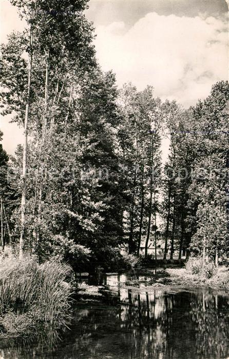 Gy-les-Nonains Vue sur l'Ouanne