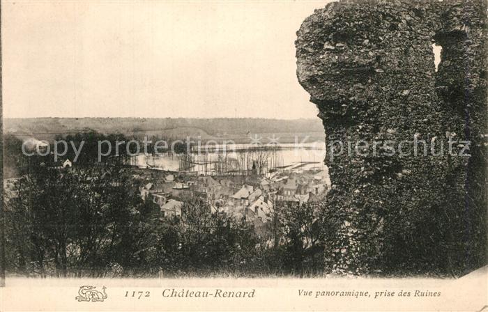 Chateau-Renard Vue panoramique prise des ruines