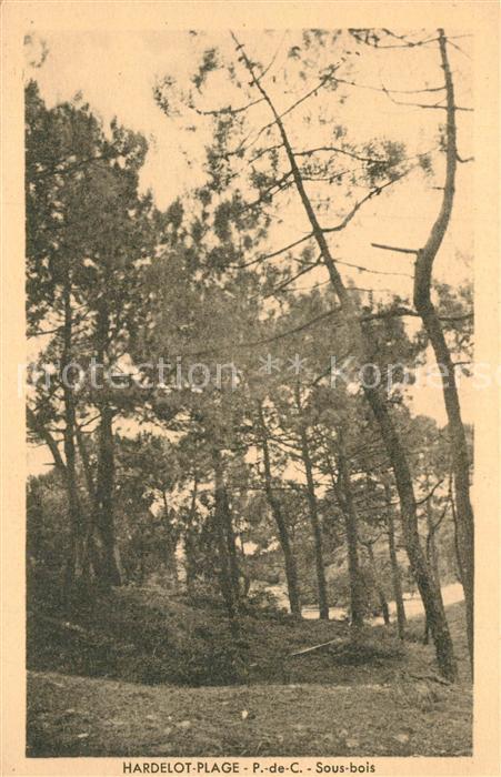 Hardelot Plage P-de-C Sous bois