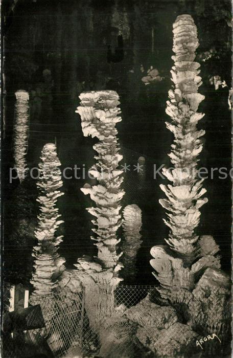 Aven Armand Entree de la foret vierge