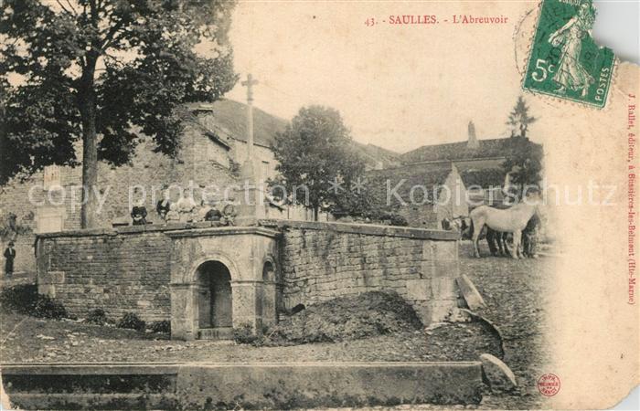 Saulles Abreuvoir