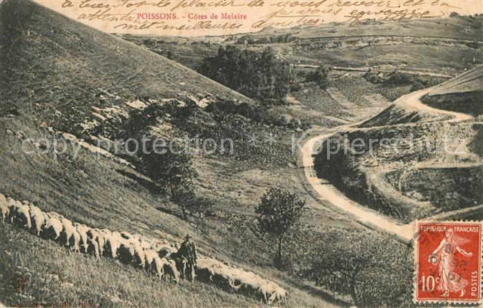 Poissons Côtes de Melaire