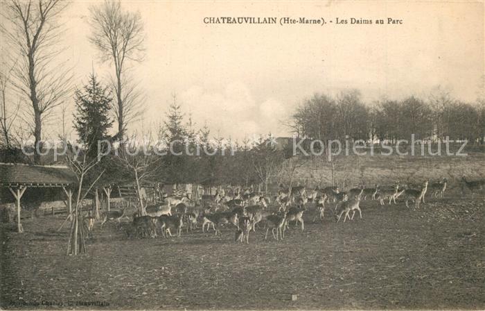 Chateauvillain Les Daims au Parc