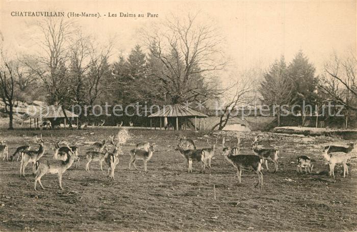 Chateauvillain Les Daims au Parc