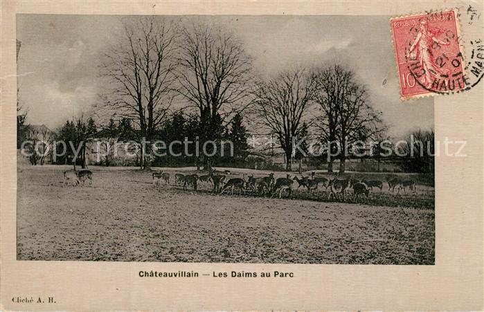 Chateauvillain Les Daims au Parc