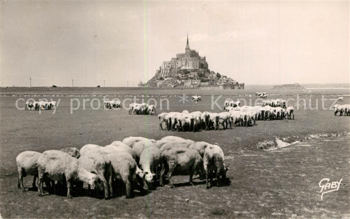 Le Mont-Saint-Michel Vue Generale et des moutons