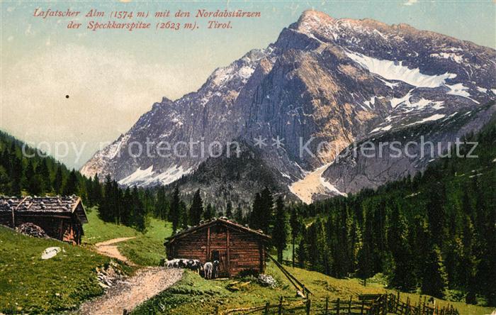 Lafatscherjoch Lafatscher Alm Nordabstuerze Speckkarspitze