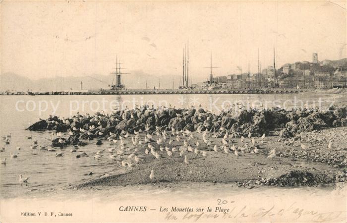 Cannes Alpes-Maritimes Les Mouttes sur la Plage