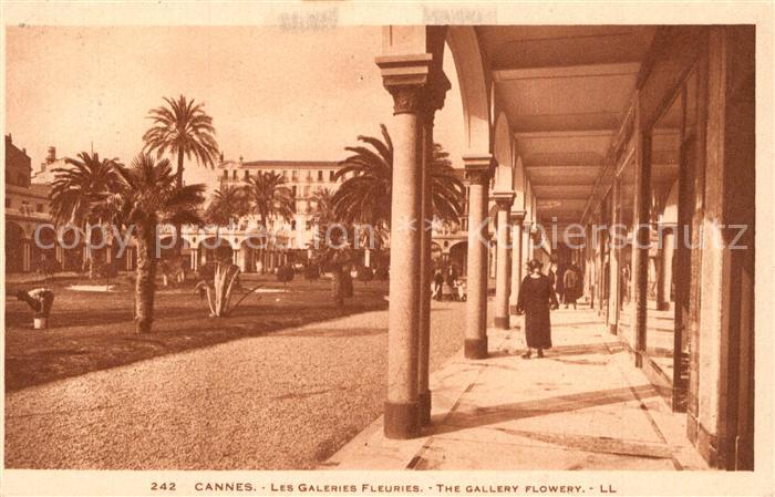 Cannes Alpes-Maritimes Les Galeries Fleuries