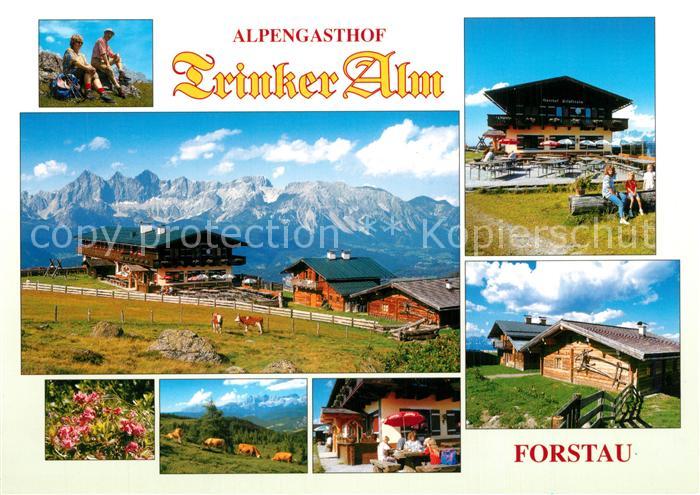 Forstau Alpengasthof Trinker Alm