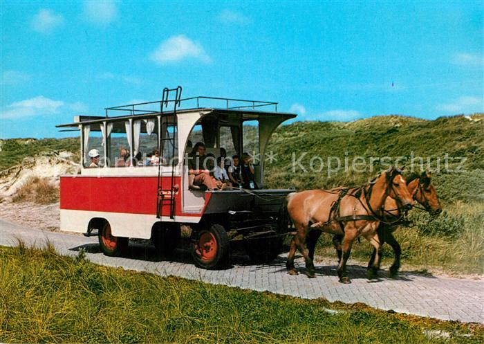 Insel Juist Pferdebus