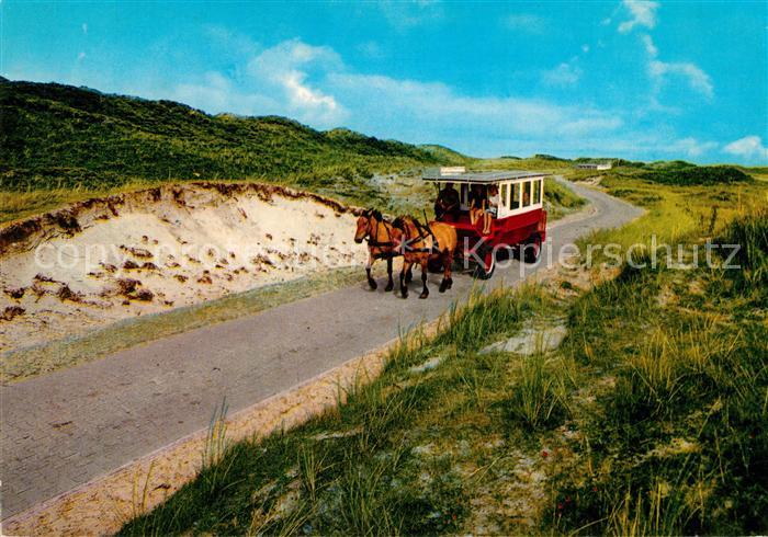 Insel Juist Pferdebus