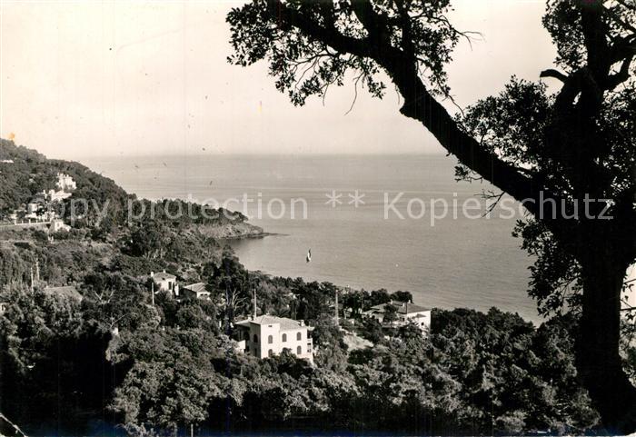 Rayol-Canadel-sur-Mer Vue generale sur la baie
