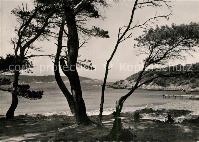 Ile de Port-Cros La Plage Sud