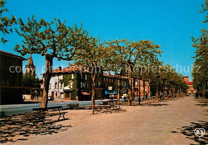 Rabastens Les Allees