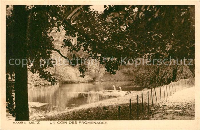 Metz 57 Moselle Un coin des Promenades