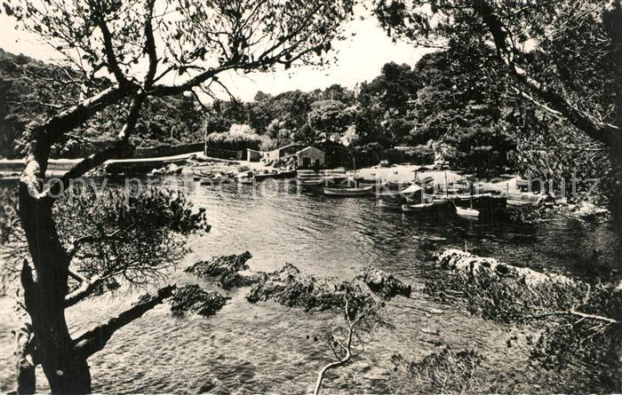 Presqu Ile-de-Giens Port du Niel
