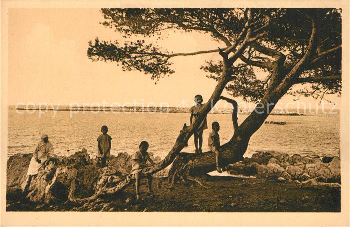 Ile Saint-Honorat Alpes Maritimes Joyeux ébats