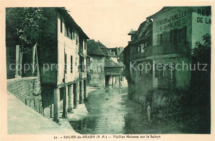 Salies-de-Bearn Vieilles maisons sur le Saleys