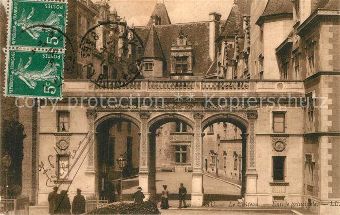 Pau 64 Chateau Entrée principale