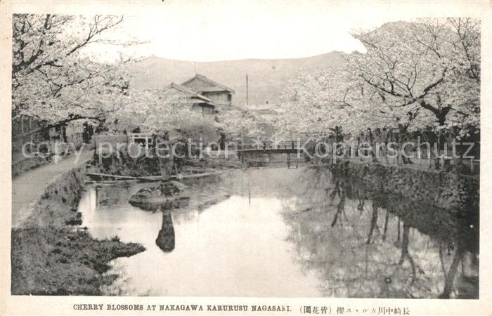 Nagasaki Cherry Blossoms at Nakagawa Karurusu