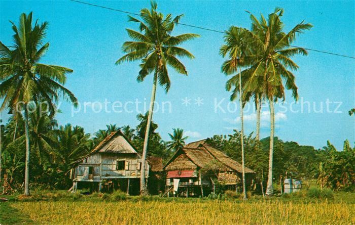 Penang Malay Kampong