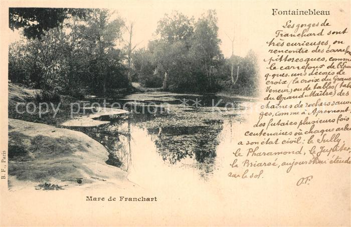 Fontainebleau Seine et Marne Mare de Franchart